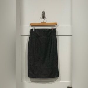 Express Pencil Skirt